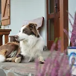 Farm stay Ranczo Brusno Polczyn-Zdroj