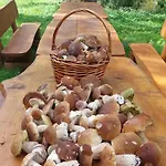 Ranczo Brusno Vakantieboerderij *
