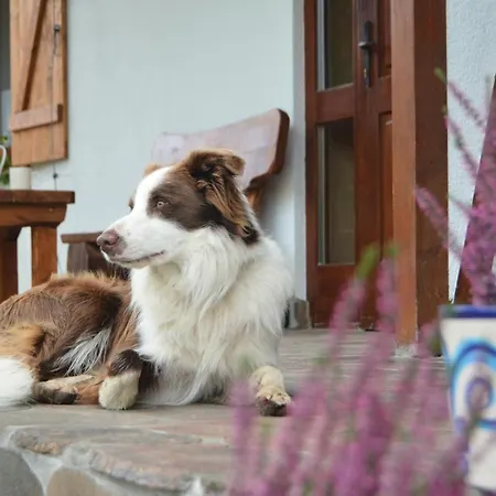 בית חווה Ranczo Brusno Połczyn-Zdrój