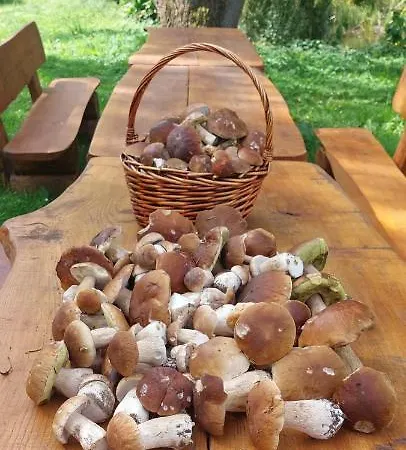 Ranczo Brusno בית חווה *