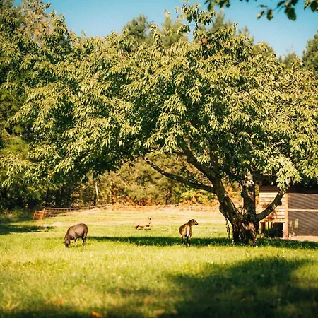 Ranczo Brusno Połczyn-Zdrój