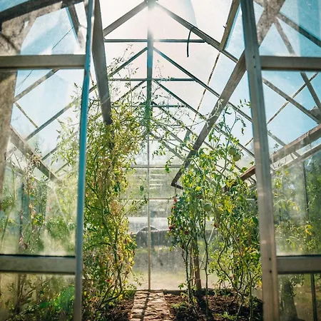 팜스테이 Ranczo Brusno