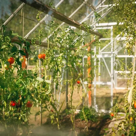 Gospodarstwo agroturystyczne Ranczo Brusno Połczyn-Zdrój