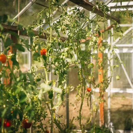 Ranczo Brusno * Połczyn-Zdrój