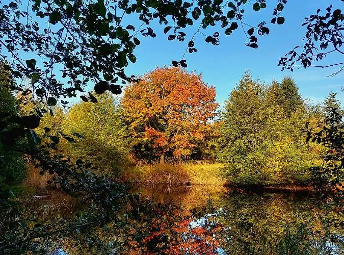 Ranczo Brusno Agroturismo Połczyn-Zdrój