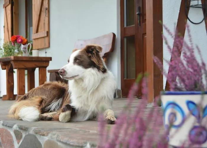 Gospodarstwo agroturystyczne Ranczo Brusno Połczyn-Zdrój