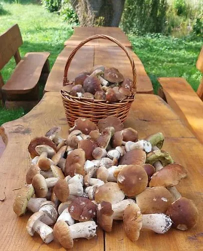 Ranczo Brusno Gospodarstwo agroturystyczne *