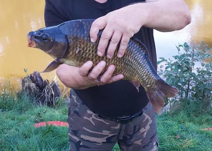 팜스테이 Ranczo Brusno Połczyn-Zdrój