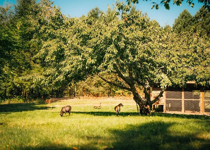 Ranczo Brusno Połczyn-Zdrój