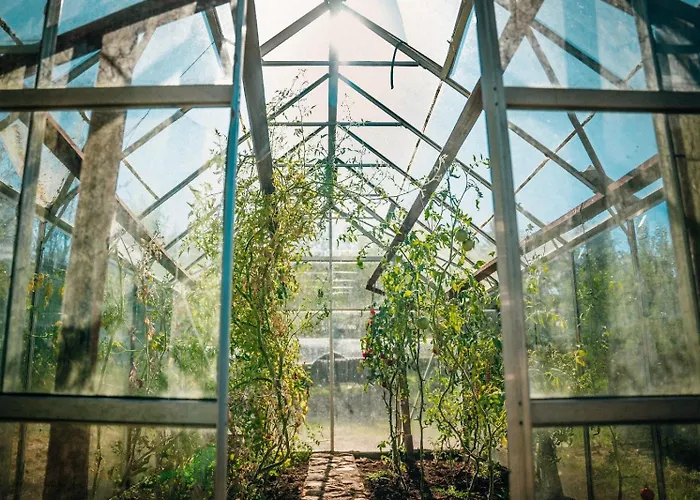 팜스테이 Ranczo Brusno