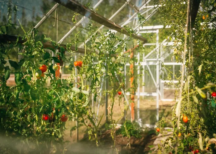 Gospodarstwo agroturystyczne Ranczo Brusno Połczyn-Zdrój