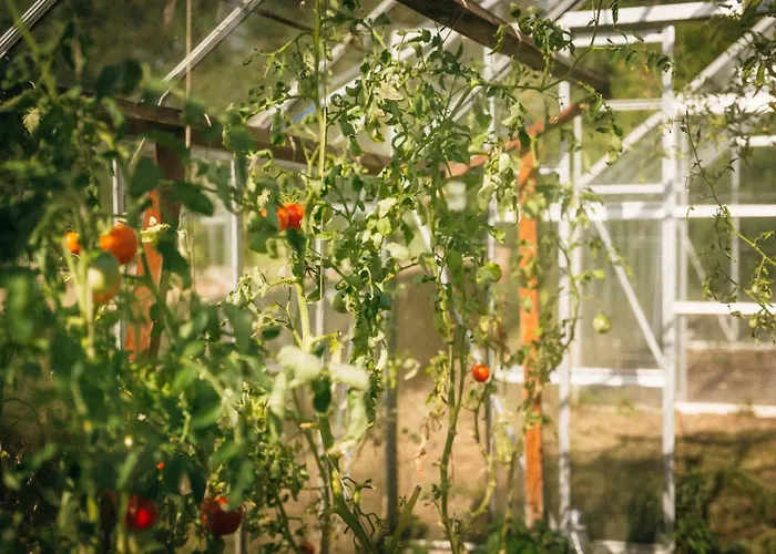 Ranczo Brusno * Połczyn-Zdrój