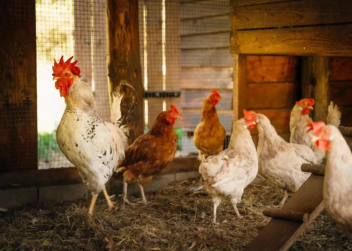 Agroturismo Ranczo Brusno Połczyn-Zdrój